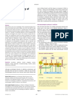 Neuropharmacology Addiction