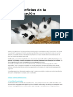 Beneficios de la esterilización.docx