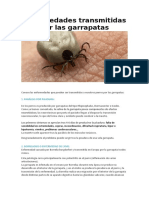 Enfermedades transmitidas por las garrapatas.docx