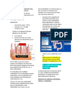 Fisio Gastro Degrabada Clase 4 Parte 1