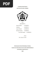 Download LAPORAN PRATIKUM by Saiful Rachman SN45691543 doc pdf