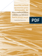 Biocombustibles Sólidos Hacia 2024 y 2030 en México - Libro