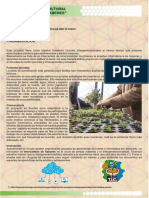 PROYECTO Socio Comunitario