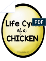 Chicken Life Cycle Posters