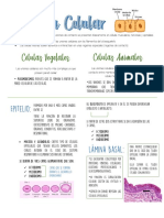 Apuntes Unión Celular PDF