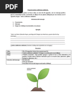 Proyecto Juntos Saldremos Adelante