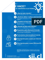 boleta electronica.pdf