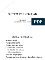 Sistem Perkemihan: Indargairi Universitas Mega Rezky