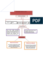 Fisman Mind Map (Fitriyani (E1A017026) )