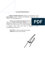 Delega Poder PDF