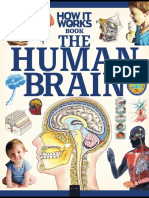Book The Human Brain (2020) PDF