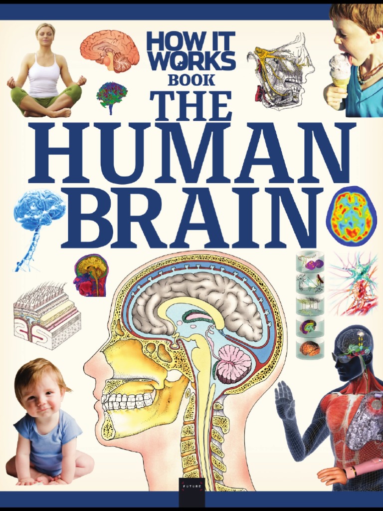 Book The Human Brain (2020) PDF | PDF
