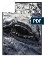 Alligator Hunting Guide