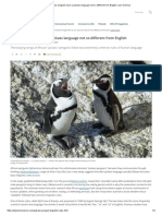 Penguin Jackass Research