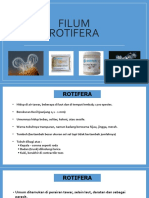 Filum Rotifera PDF