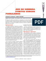 densidadesparasorgos.pdf