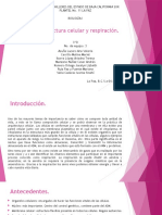 Práctica arquitectura celular y respiración.pptx