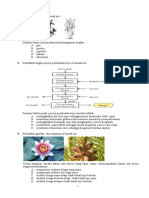 Soal Paket 1 Biologi K13