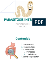 Parasitosis Intestinal C PDF