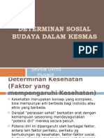 5-Determinan Sosial Budaya Dalam Kesmas
