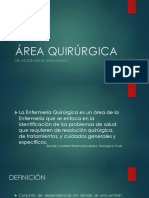 Area Quirurgica PDF