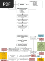 CKD Stage 5 Pathophysiology: CGN Link | PDF