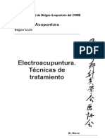 Electroacupuntura Moxibustion