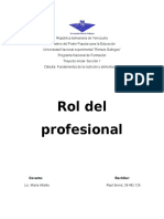 Rol Del Profesional