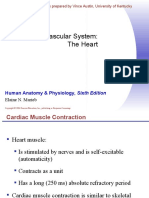 The Cardiovascular System: The Heart: Human Anatomy & Physiology, Sixth Edition