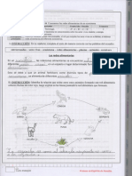 TAREA CyT MIA AGUILAR VIGIL 4TO A PRIM.