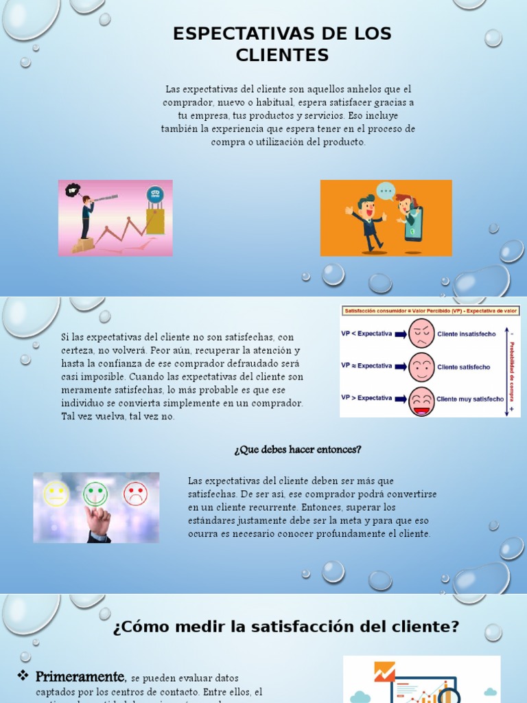 Espectativas de Los Clientes | PDF | La satisfacción del cliente | Cliente