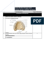 Tugas  SL integrasi Anatomi Rongga Mulut