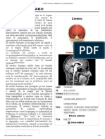 Cerebro Humano - Wikipedia, La Enciclopedia Libre PDF