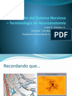 Organización Del Sistema Nervioso - Terminología de Neuroanatomía