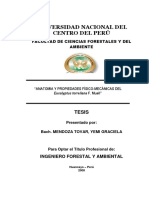 Características anatómicas y propiedades físico-mecánicas de la madera de Eucalyptus torreliana