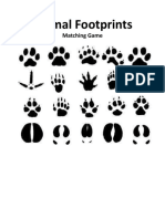 Animal Footprint Matching Game Answer Key
