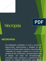 necropsiamedicolegal