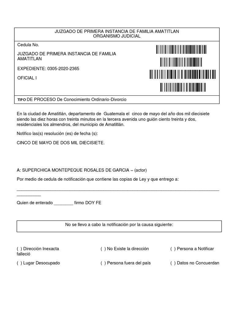 Cedula-de-Notificacion Parte Actora | PDF