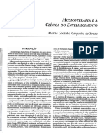 MTe A Clinica Do Envelhec PDF
