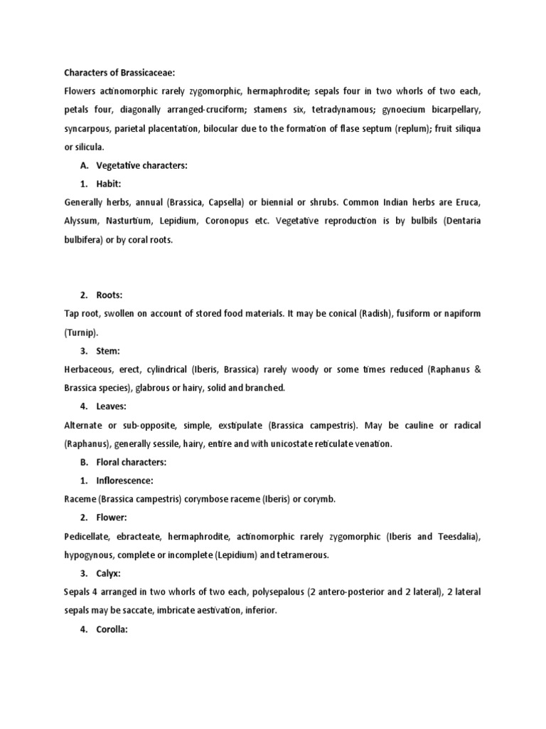 Characters of Brassicaceae | PDF | Botany | Plants