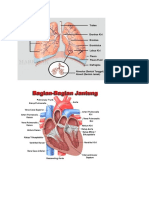 gambar organ.docx