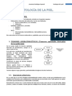 APE-B E28-E29 Patología de la piel (T14).docx