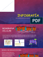 Infografía Membrana Celular