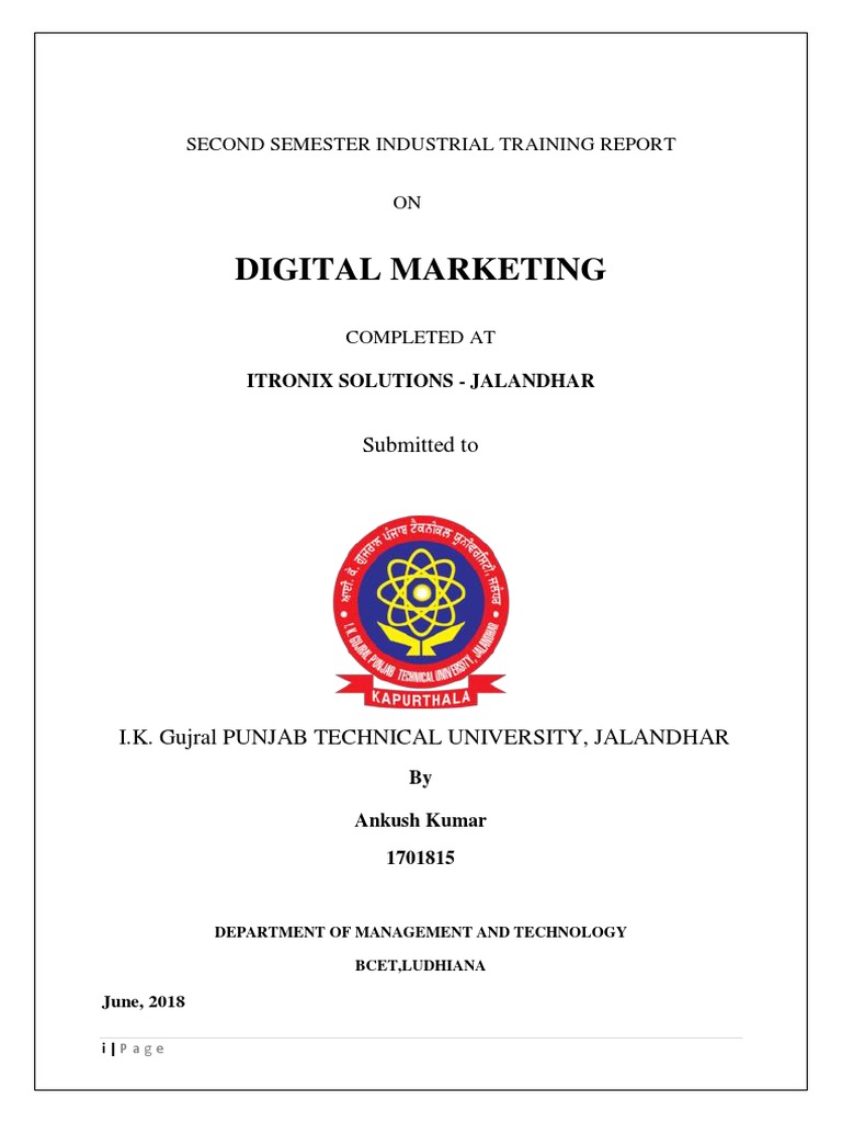 DIGITAL MARKETING Submitted To PDF | PDF | Digital Marketing | Advertising