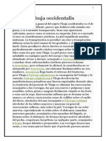 Thuja Occidentalis PDF