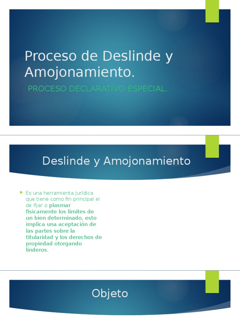 Proceso de Deslinde y Amojonamiento 2 PDF Propiedad Demanda judicial