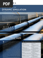 Dynamic Simulation: Essentials of