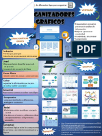 Infografia - Organizadores Graficos