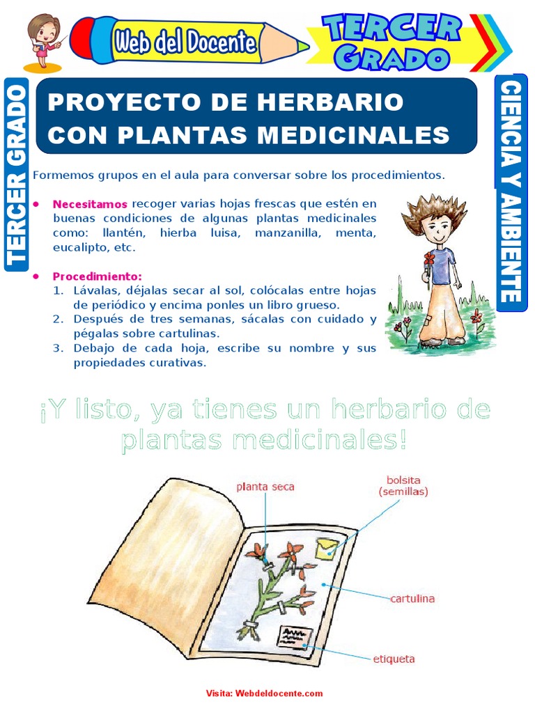 proyecto-de-herbario-con-plantas-medicinales-para-ni-os-para-tercer