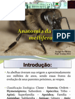 anatomiadaapismellifera-120927170455-phpapp01.pdf